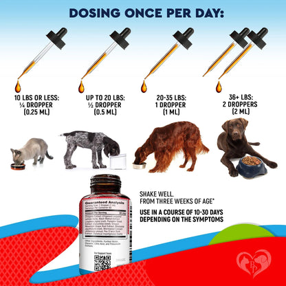 Natural Herbal Dewormer for Dogs & Cats